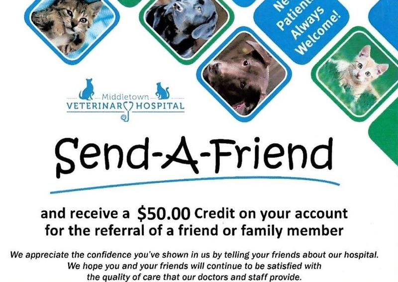 Carousel Slide 7: Did you know you can receive a $50 credit on your account for referring a friend or family member?