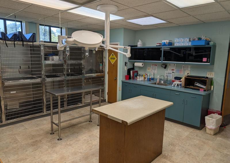 Carousel Slide 14: Our hospital treatment area