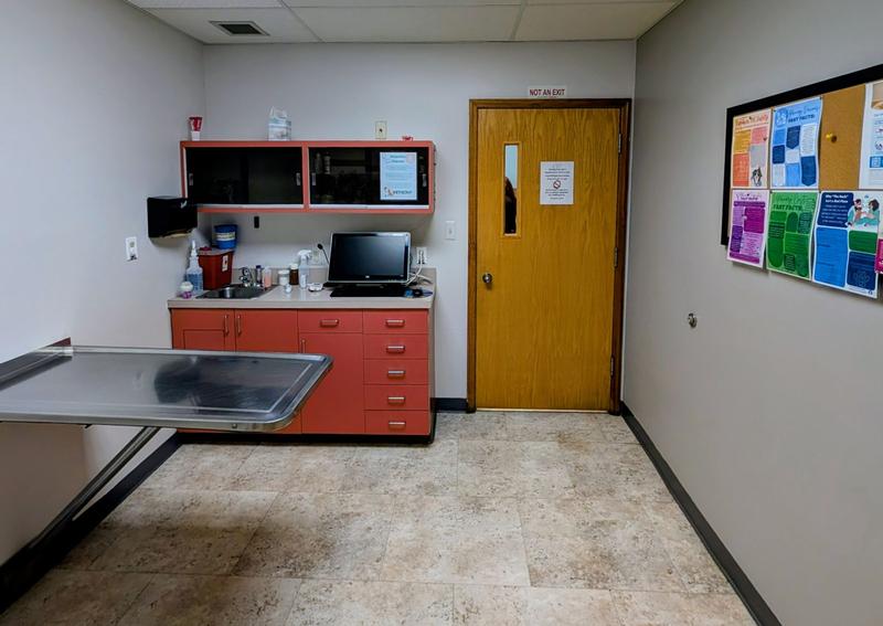 Carousel Slide 16: Our feline exam room