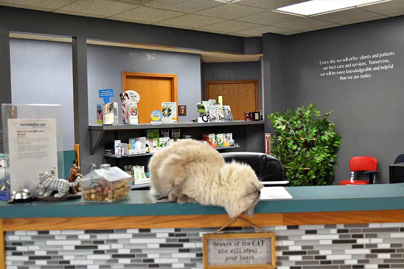 Middletown Veterinary Hospital