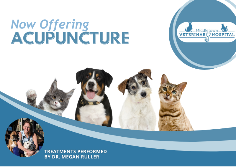 Carousel Slide 1: Click here to book!